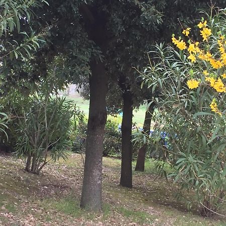 Appartamento Dell Agriturismo Pane E Olio Тоди Екстериор снимка