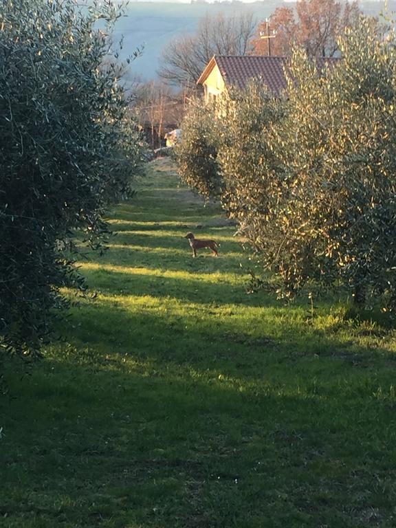 Appartamento Dell Agriturismo Pane E Olio Тоди Екстериор снимка