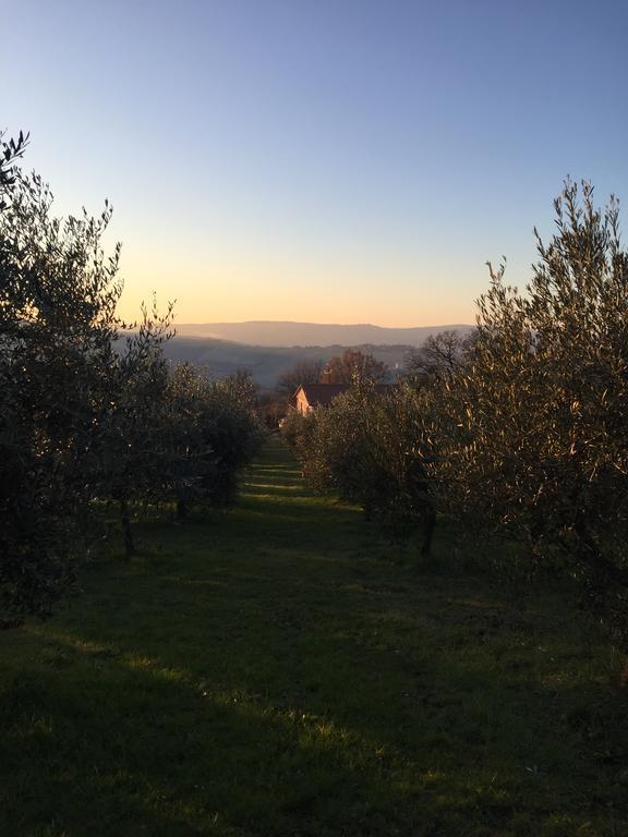 Appartamento Dell Agriturismo Pane E Olio Тоди Екстериор снимка